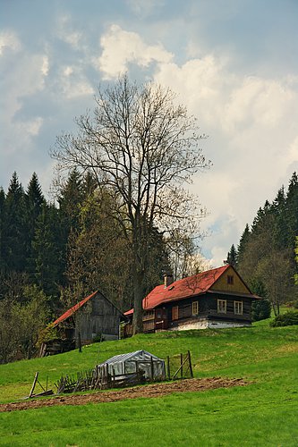 Zpět na galerii...