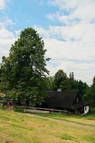 Zpět na galerii...