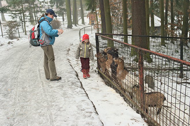 Zpět na galerii...