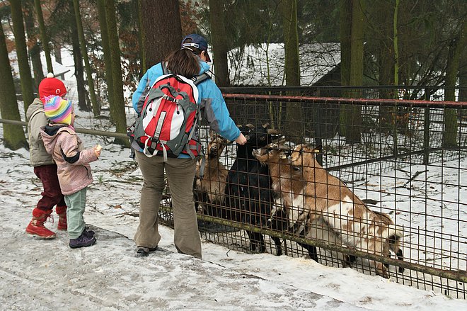 Zpět na galerii...