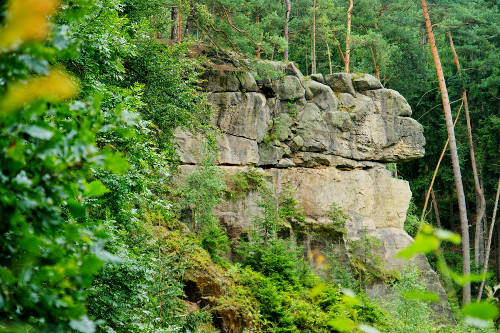 Obrázek